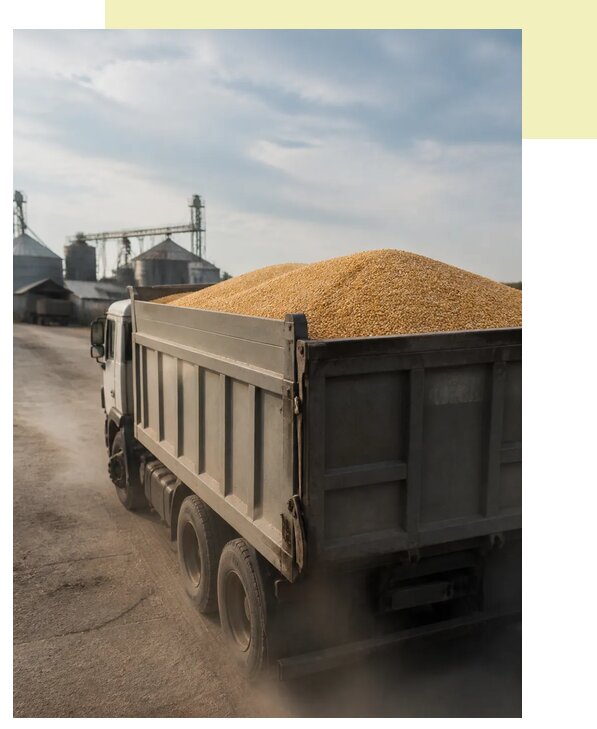 Перевозка сельхозпродукции навалом в Красного Сулин по цене от 3062 р. | Агросервис-Крл