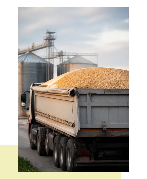 Автомобильная перевозка зерна и зерновых культур в Красного Сулин