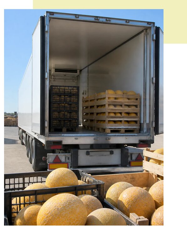 Перевозка дынь рефрижератором в Красного Сулин по цене от 5103 р. | Агросервис-Крл